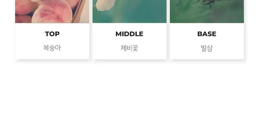 제이숲 컬러제이 오로라 보색 샴푸 (퍼플/핑크) 380ml 2종 택1 상세페이지 28