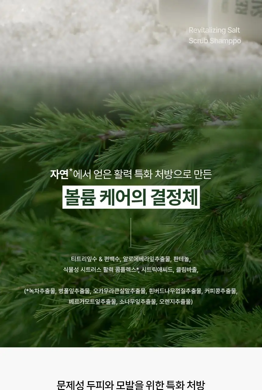 커리쉴 리바이탈라이징 솔트 스크럽 샴푸 300ml 상세페이지 3