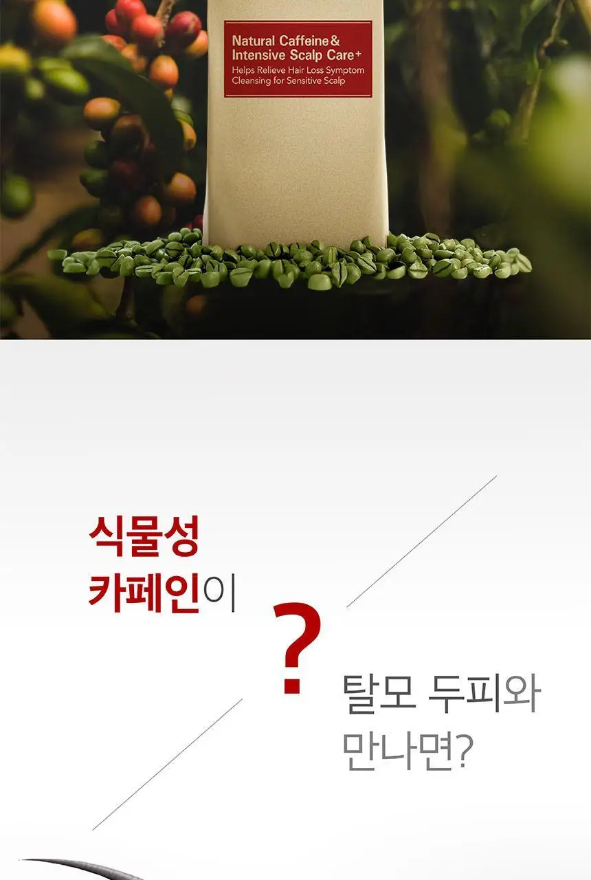 쿤달 카페인 탈모샴푸 베이비파우더 500ml 상세페이지 16
