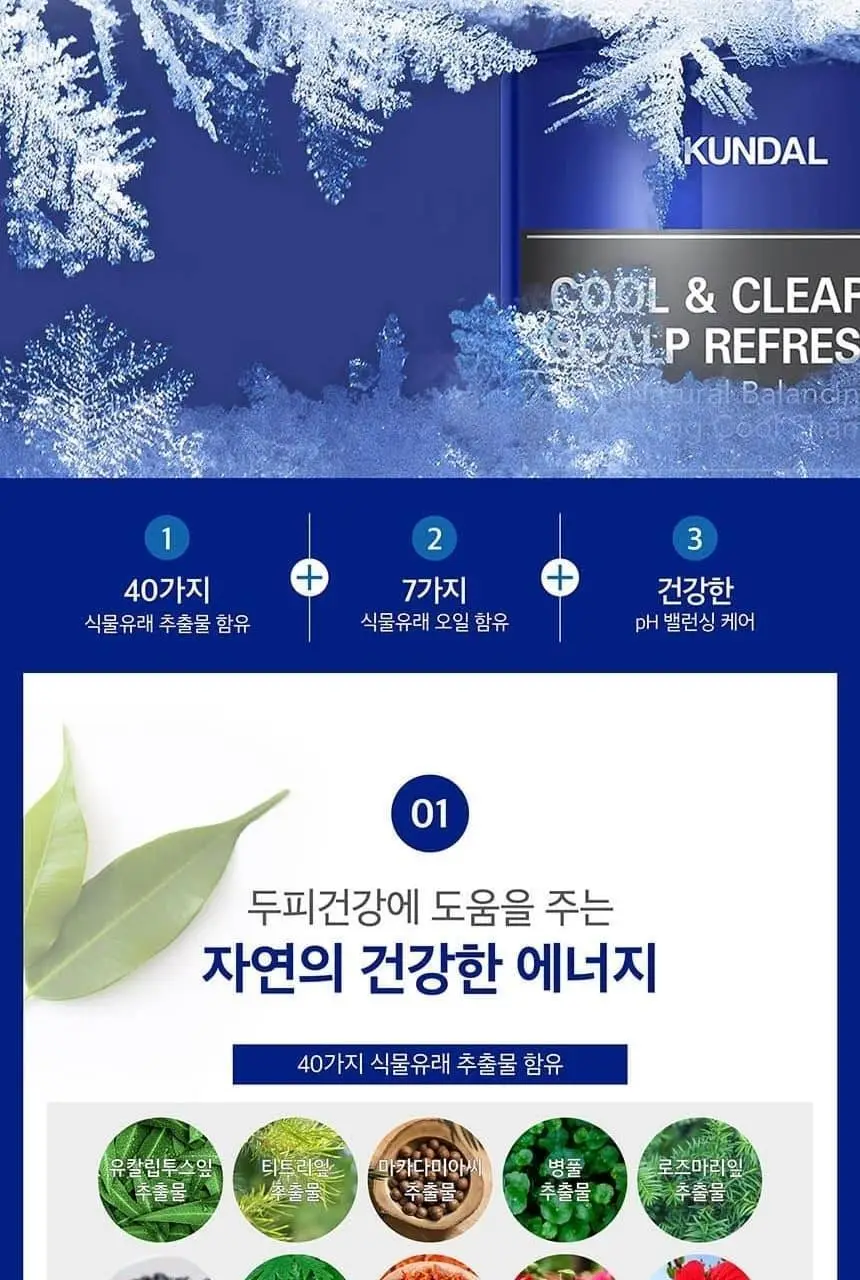 쿤달 쿨 앤 클리어 스칼프 리프레싱 쿨 샴푸 아쿠아민트 500ml 상세페이지 16