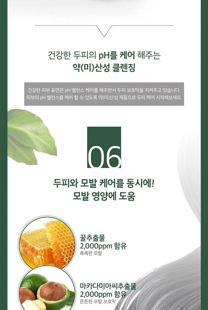 쿤달 티트리 앤 마카다미아 딥 클렌징 지성샴푸 500ml 4종 택 1 상세페이지 18