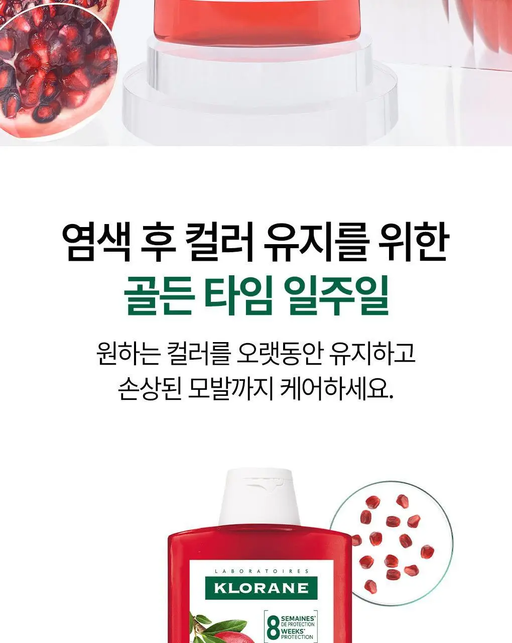 클로란 석류 컬러 프로텍션 샴푸 400ml (염색유지&손상모발) 상세페이지 4
