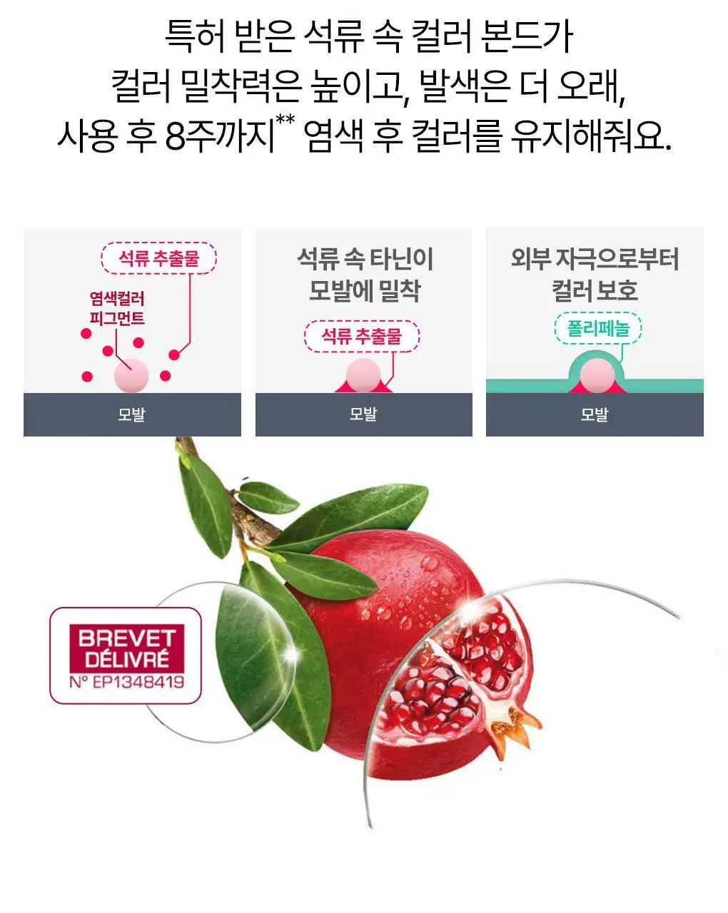 클로란 석류 컬러 프로텍션 샴푸 400ml (염색유지&손상모발) 상세페이지 6