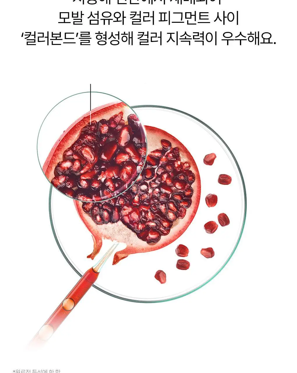 클로란 석류 컬러 프로텍션 샴푸 400ml (염색유지&손상모발) 상세페이지 12