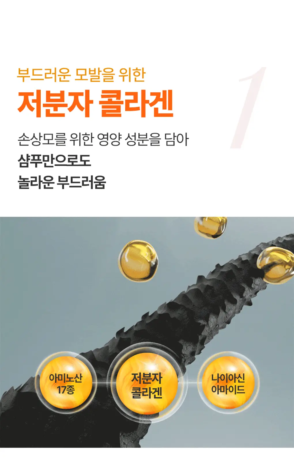 트리셀 데이 콜라겐 샴푸 모닝 오브 리조트 증정 기획(360ml+120ml) 상세페이지 8