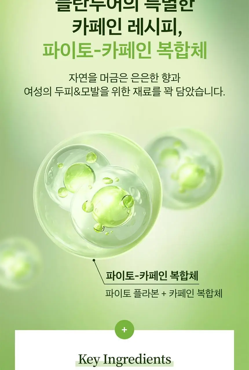 플란투어39 파이토-카페인 샴푸 250ml (연약한 모발용) 상세페이지 4
