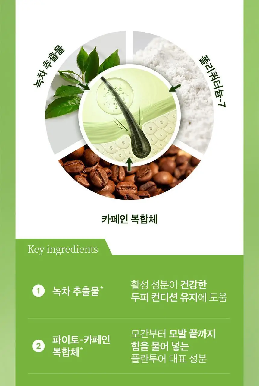 플란투어39 파이토-카페인 샴푸 250ml (연약한 모발용) 상세페이지 5