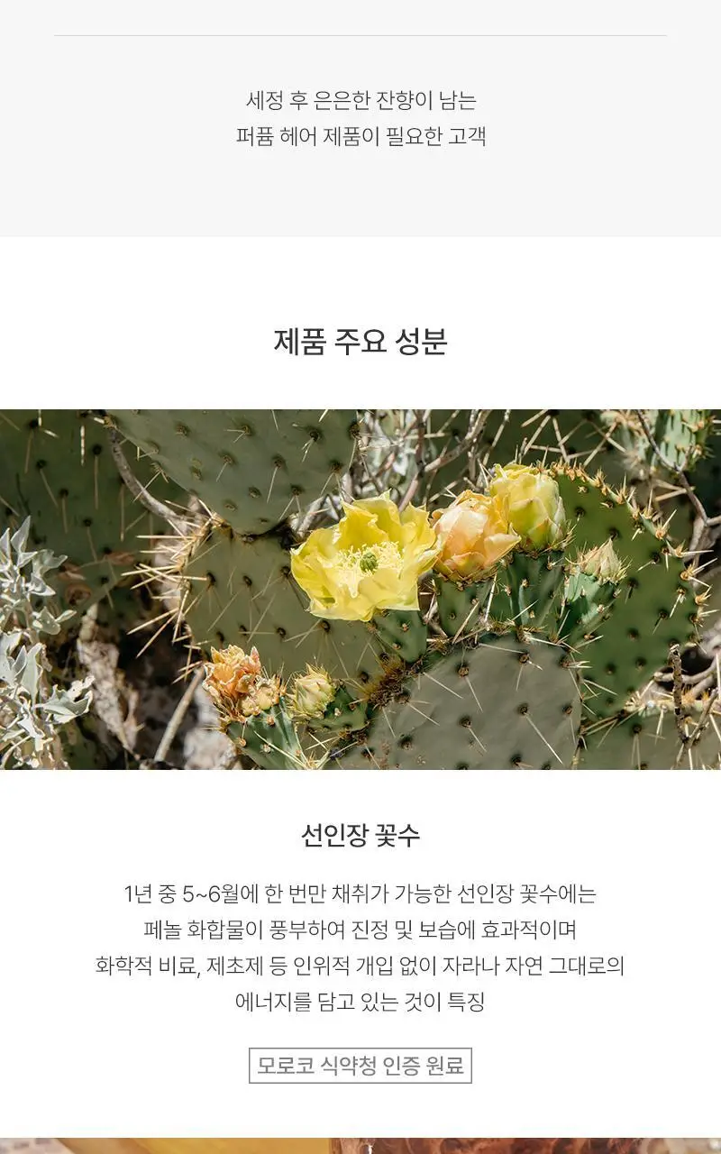 헉슬리 모이스처 샴푸 모로칸 가드너 300ml 상세페이지 9
