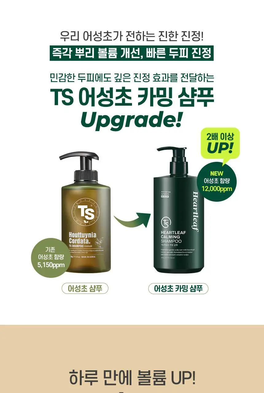 TS 어성초 카밍 샴푸 500g (+6g*3ea) 상세페이지 5