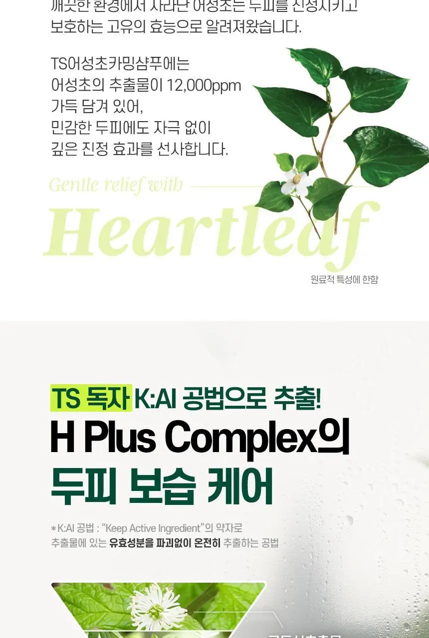 TS 어성초 카밍 샴푸 500g (+6g*3ea) 상세페이지 10