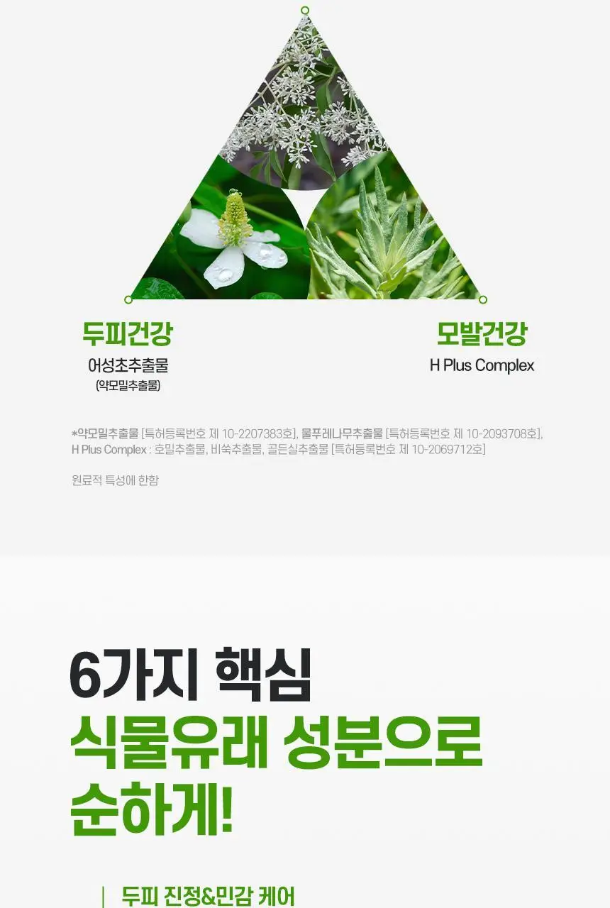 TS BD샴푸 500g 상세페이지 9