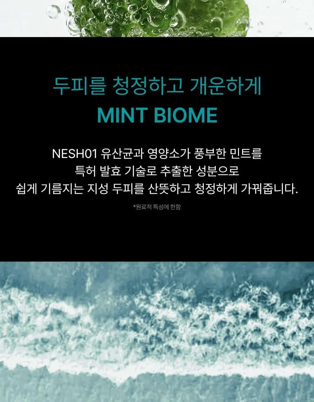 네쉬 민트 바이옴 스칼프 퓨리파잉 스크럽 180ml* 상세페이지 5