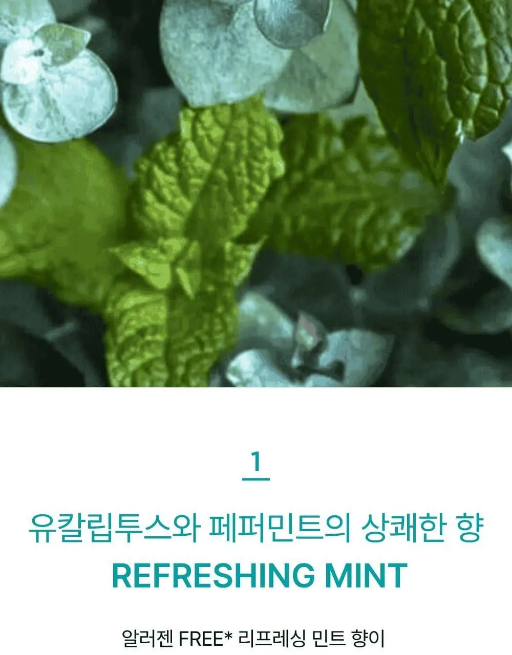 네쉬 민트 바이옴 스칼프 퓨리파잉 스크럽 180ml* 상세페이지 12