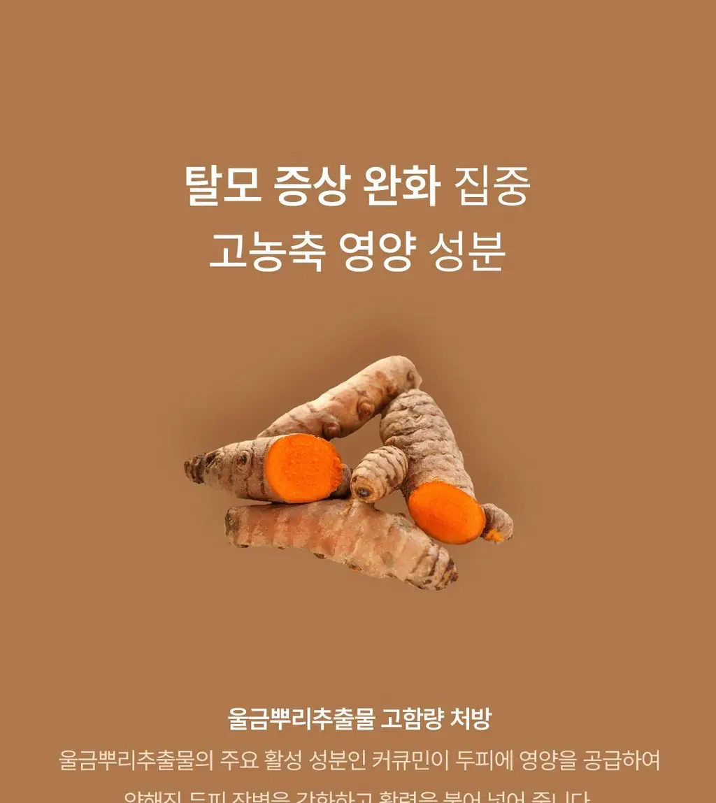 스팀베이스 터메릭 스칼프 워터 스케일러 250ml 상세페이지 10