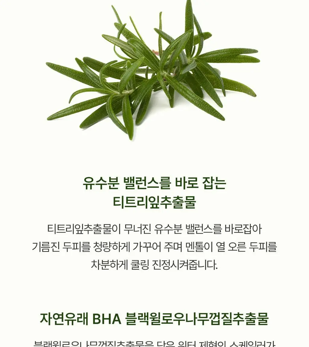 스팀베이스 티트리 스칼프 워터 스케일러 250ml 기획세트(+50ml+브러쉬 증정) 상세페이지 10