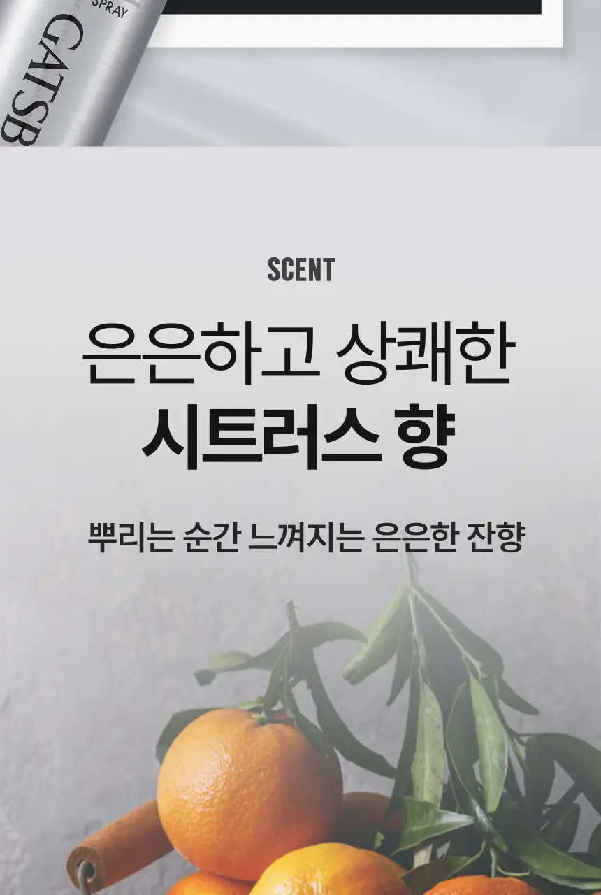갸스비 셋앤킵 스프레이 브라더스 (본품263ml+67ml 추가 증정) 상세페이지 15