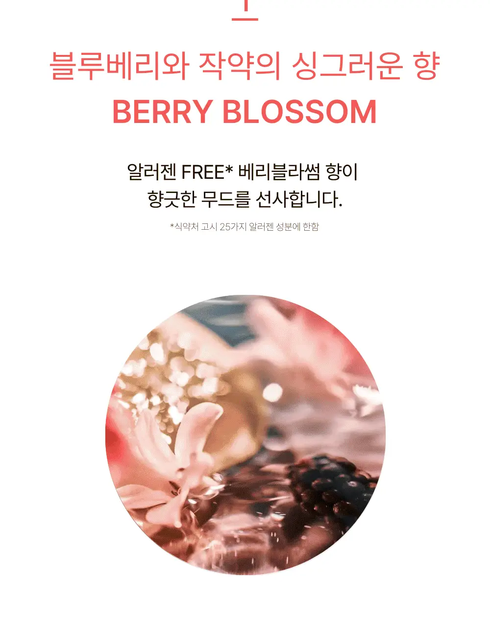 네쉬 에어리 텍스처 헤어 왁스 브러쉬 기획세트(+샴푸 20ml 증정) 상세페이지 14