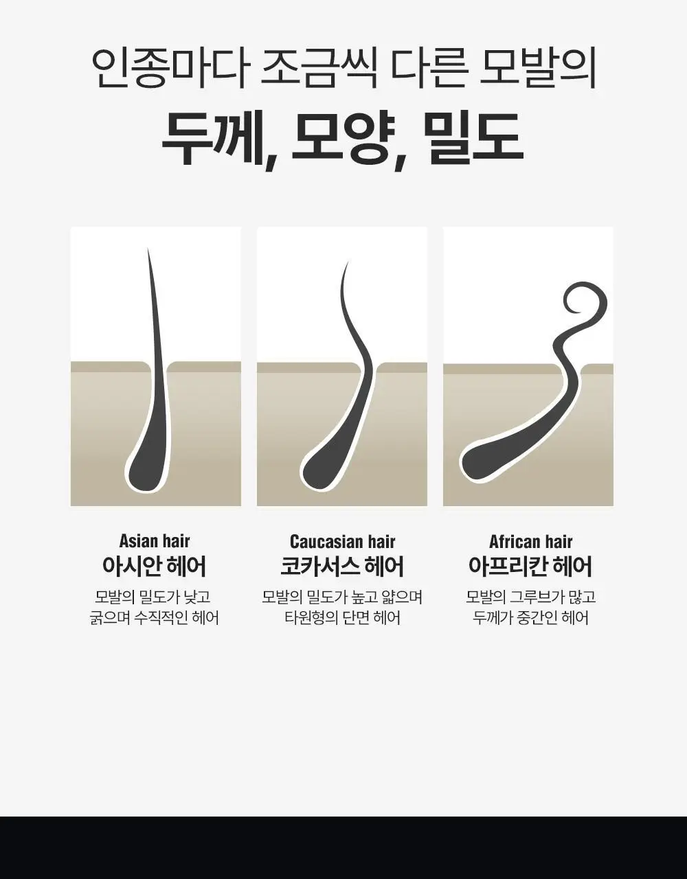 다슈 클래식 인크레더블 샤인 포마드 (본품100g+포마드용 콤브 증정) 상세페이지 4