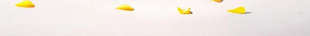 리우젤 그루밍 토닉 200ml 단품/기획 상세페이지 12