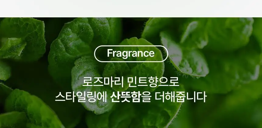 리우젤 하이드레이팅 스타일링 크림 100ml 상세페이지 16