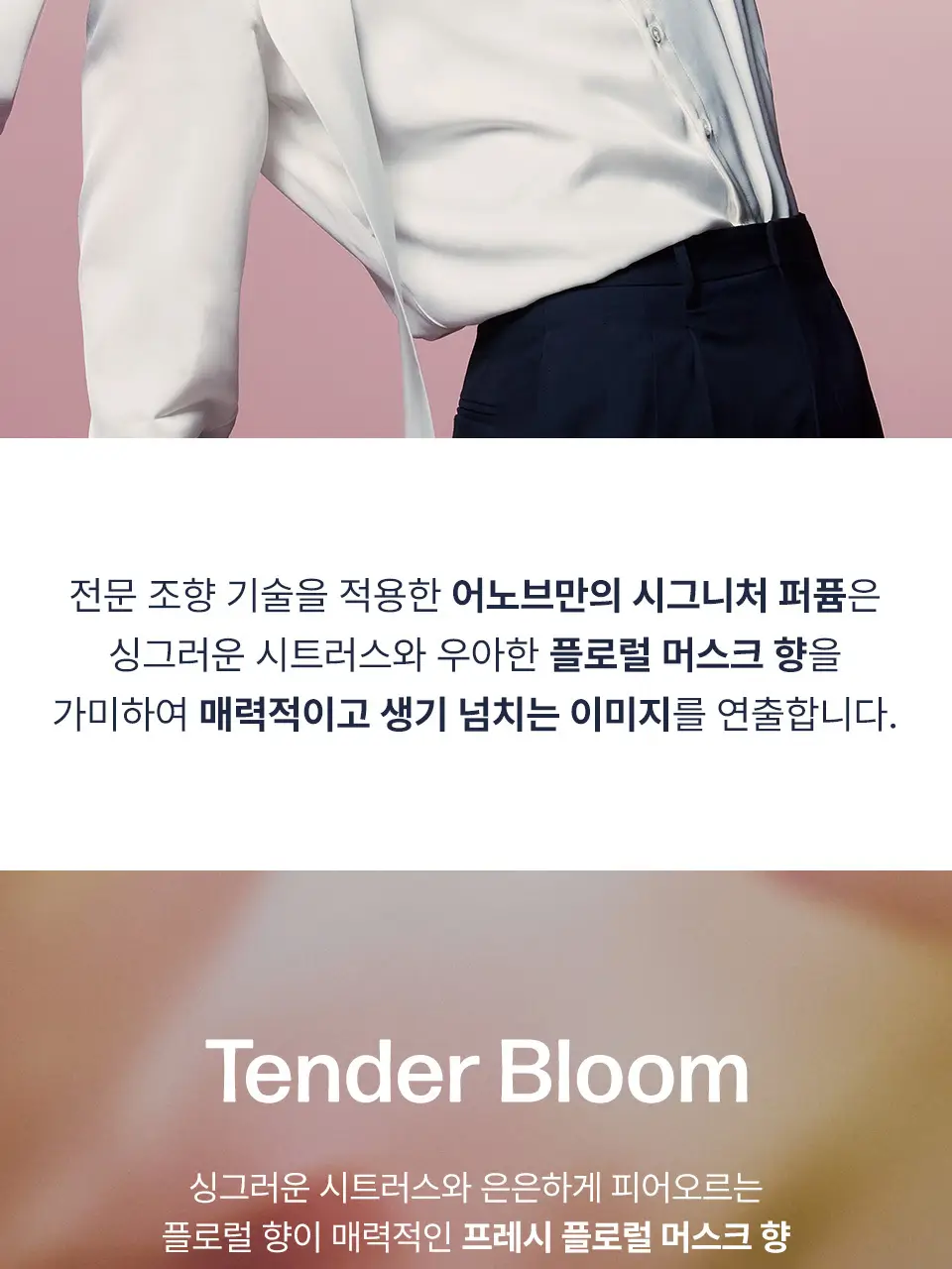 어노브 볼륨 업 컬링 에센스 147ml (수분 컬크림) 상세페이지 19
