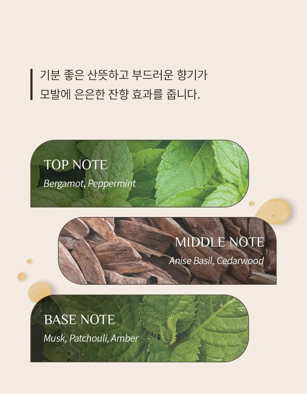 오브제 베이직 그루밍 토닉 210ml 상세페이지 16