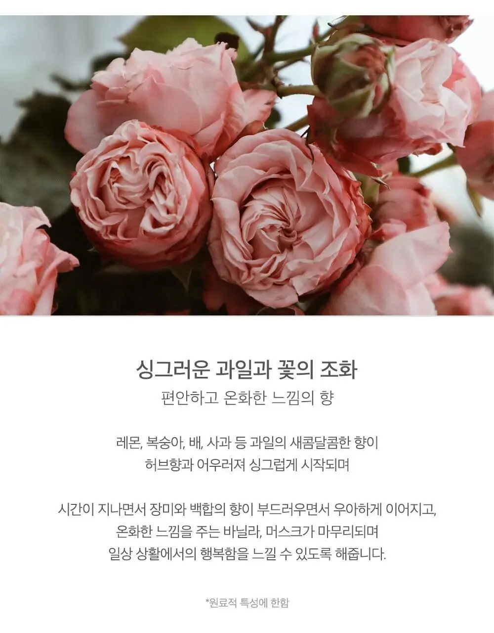 제니하우스 스타일 컬링에센스 150ml 상세페이지 6
