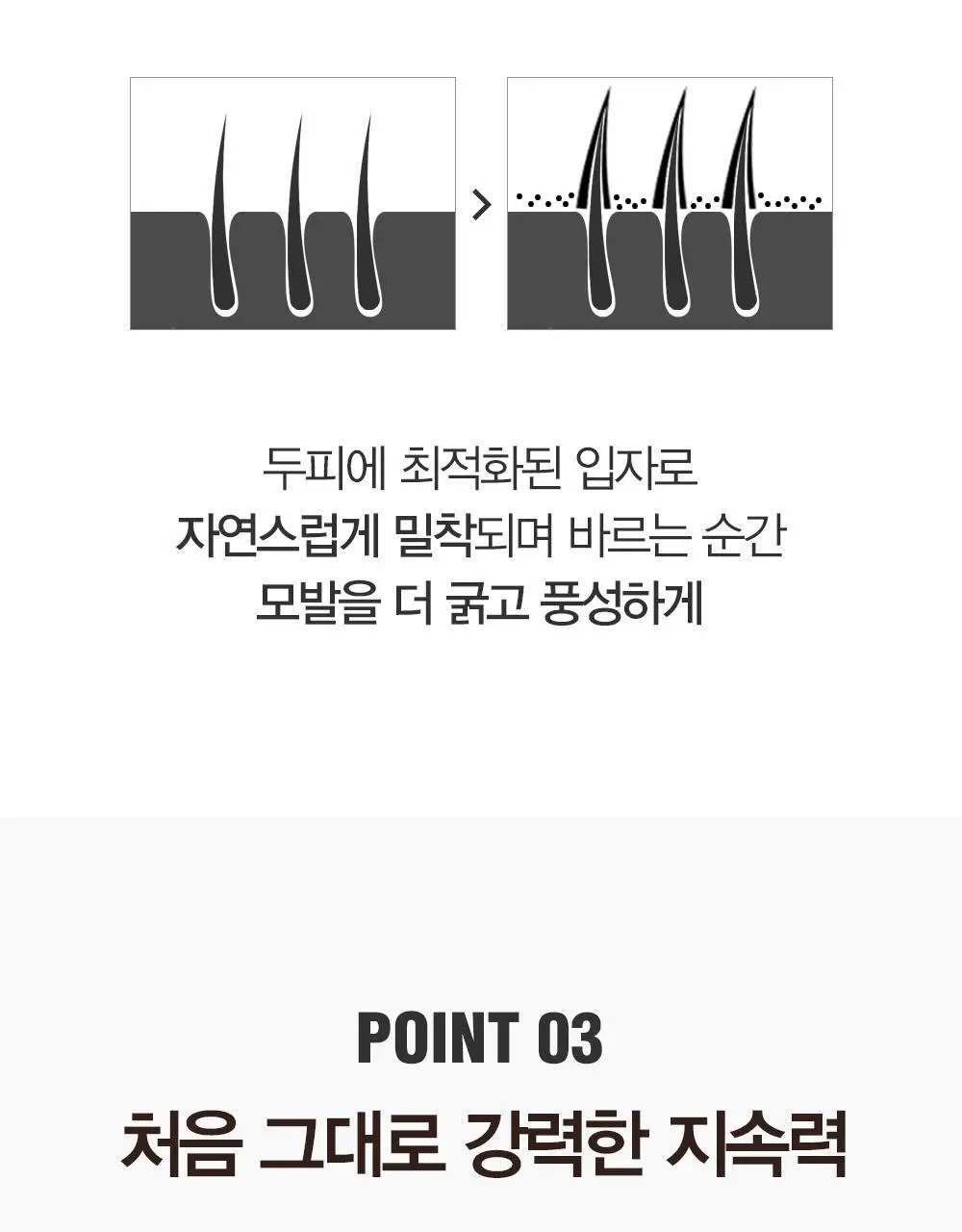 다슈 데일리 이지 커버 헤어쿠션 16g 내추럴블랙 단품/기획 상세페이지 14