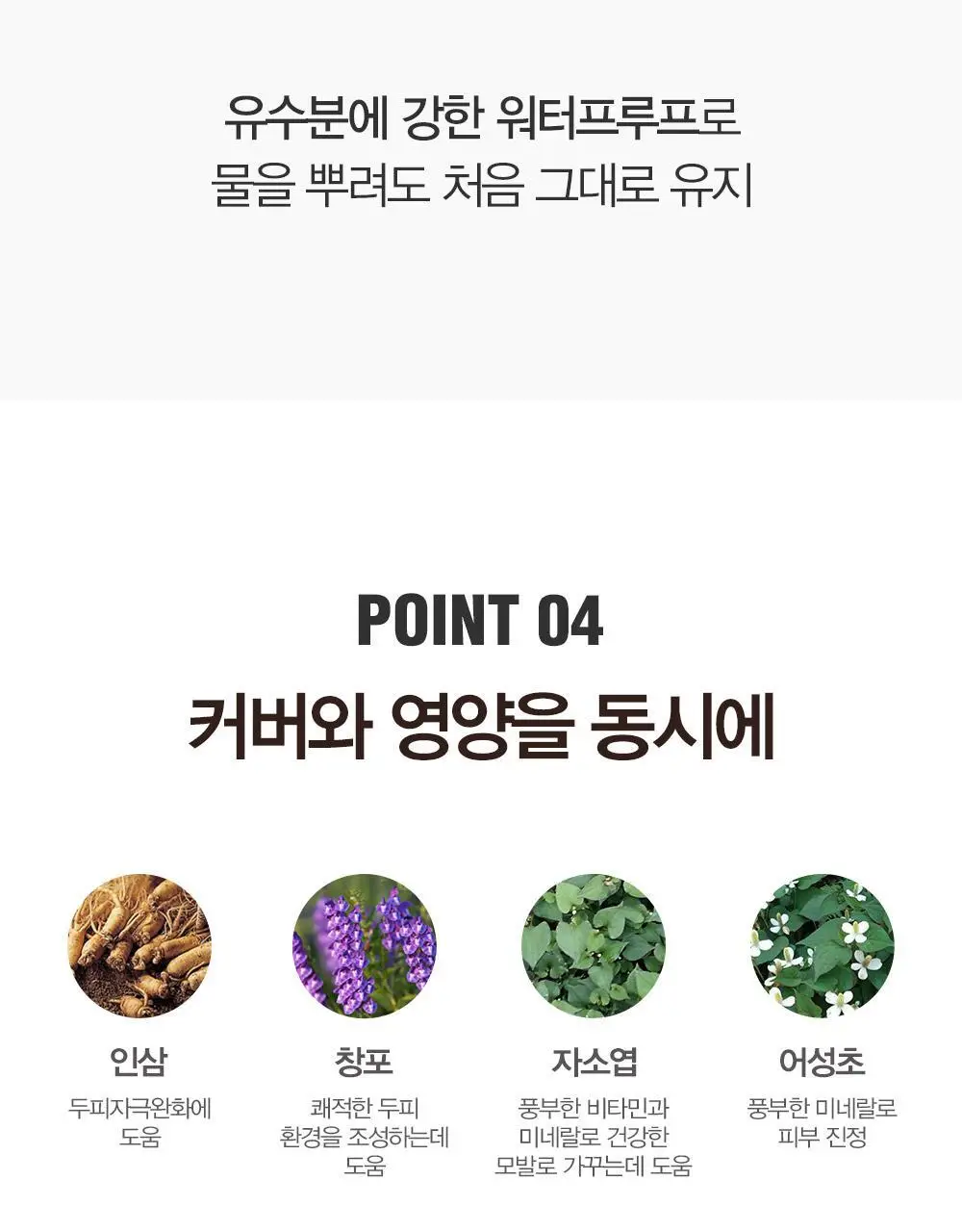 다슈 데일리 이지 커버 헤어쿠션 16g 내추럴블랙 단품/기획 상세페이지 17