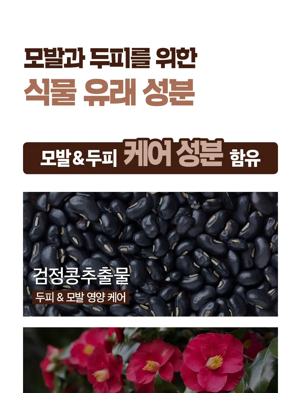 모다모다 프로체인지 헤어커버스틱 02 흑갈색 3.5g 상세페이지 32