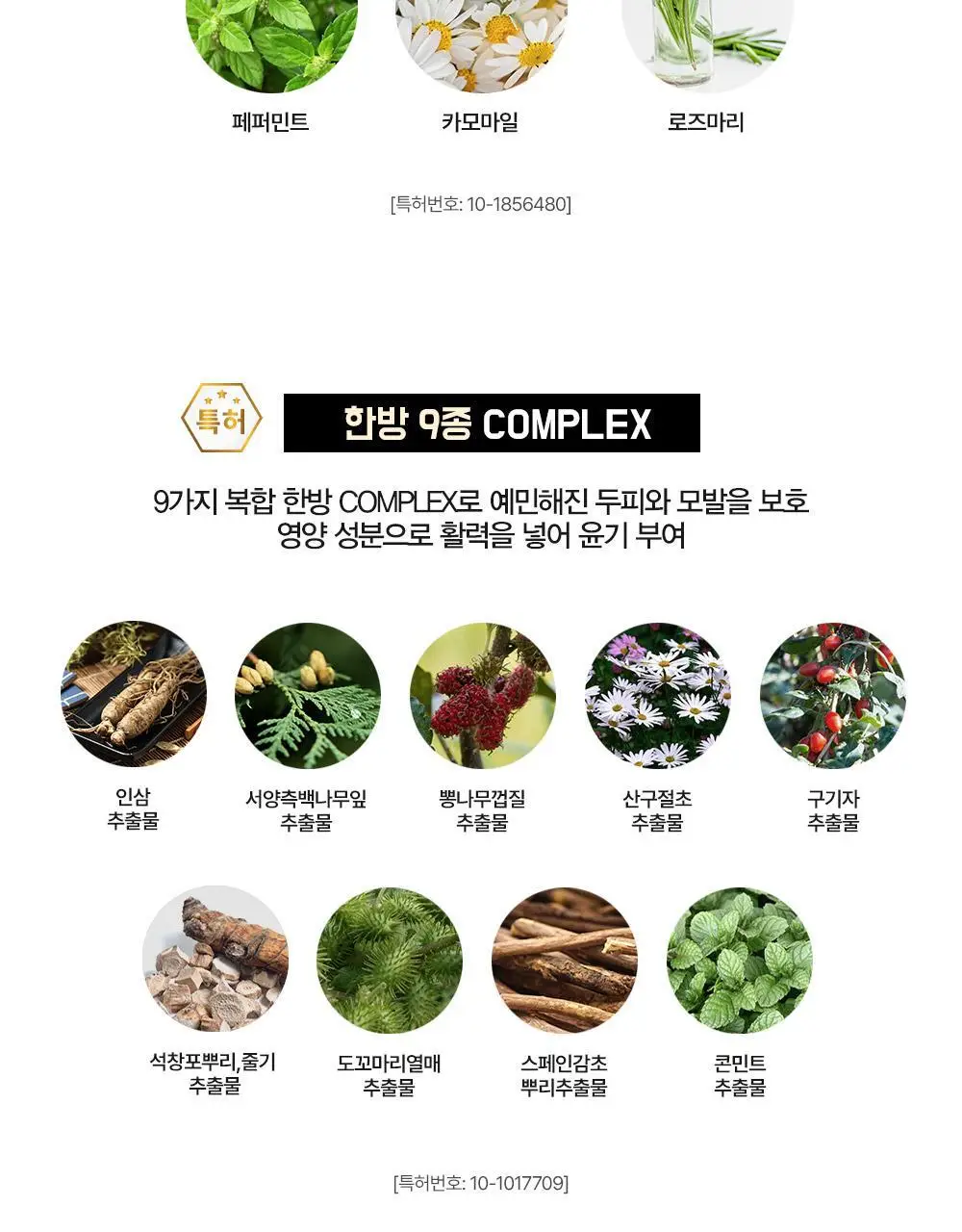 다슈 컬러 패스트 체인지 염색 120g 3종 택1 (흑색/흑갈색/자연갈색) 상세페이지 19