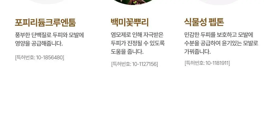 다슈 컬러 패스트 체인지 염색약 트리플 기획 (120g+120g+120g)흑갈색/흑색 상세페이지 17