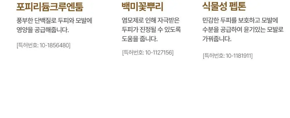 다슈 컬러 패스트 체인지 염색약 트리플 기획 (120g+120g+120g) 상세페이지 17