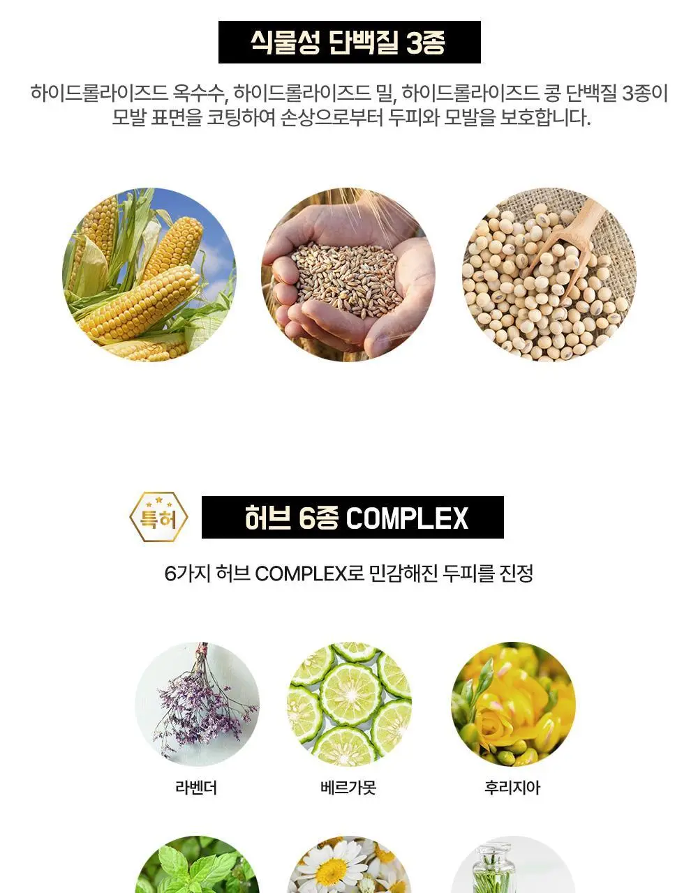 다슈 컬러 패스트 체인지 염색약 트리플 기획 (120g+120g+120g) 상세페이지 18