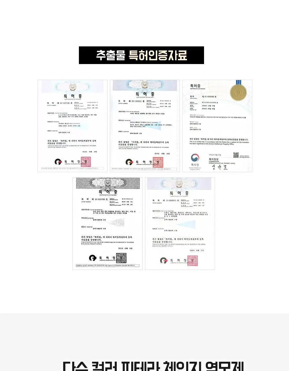 다슈 컬러 패스트 체인지 염색약 트리플 기획 (120g+120g+120g) 상세페이지 20