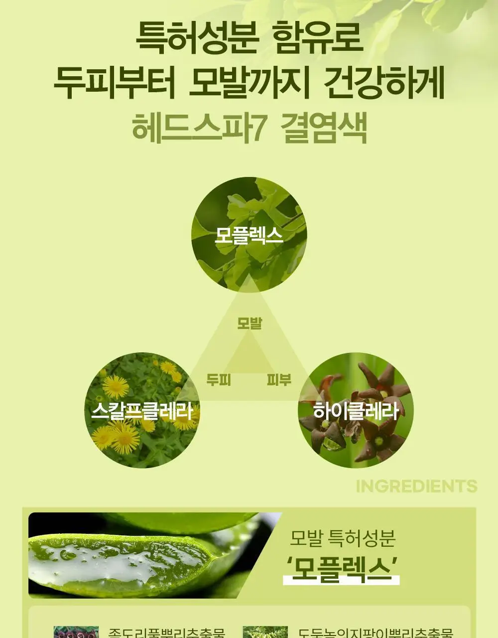 헤드스파7 살롱컬러마스터 결염색 5종 택1 (염색+새치겸용) 상세페이지 14