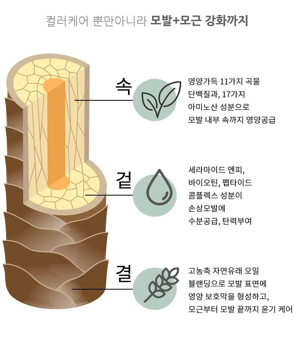 고잉그레이 컬러 트리트먼트 120ml 2종 (클리어블랙, 머쉬룸브라운) 상세페이지 10