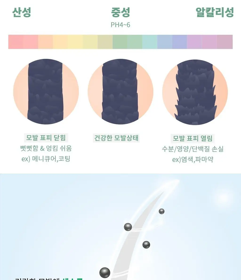 고잉그레이 컬러 트리트먼트 120ml 2종 (클리어블랙, 머쉬룸브라운) 상세페이지 11