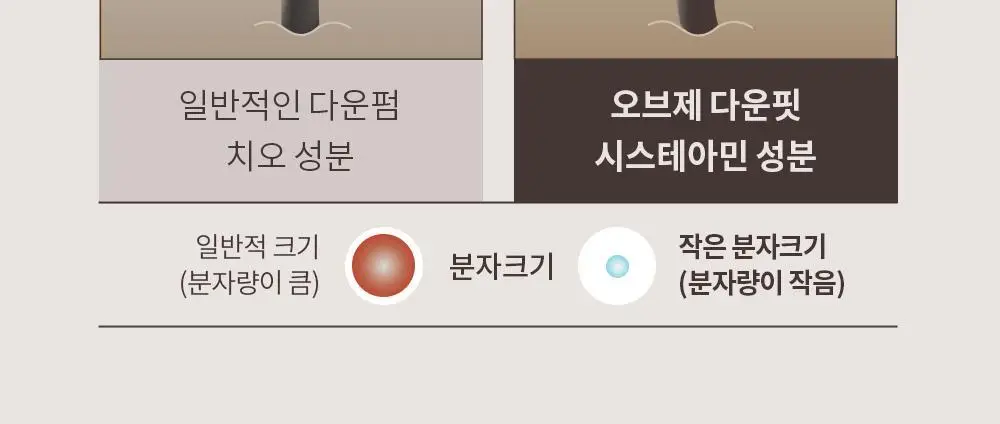 오브제 퍼펙트 프로 다운핏 100ml 상세페이지 14