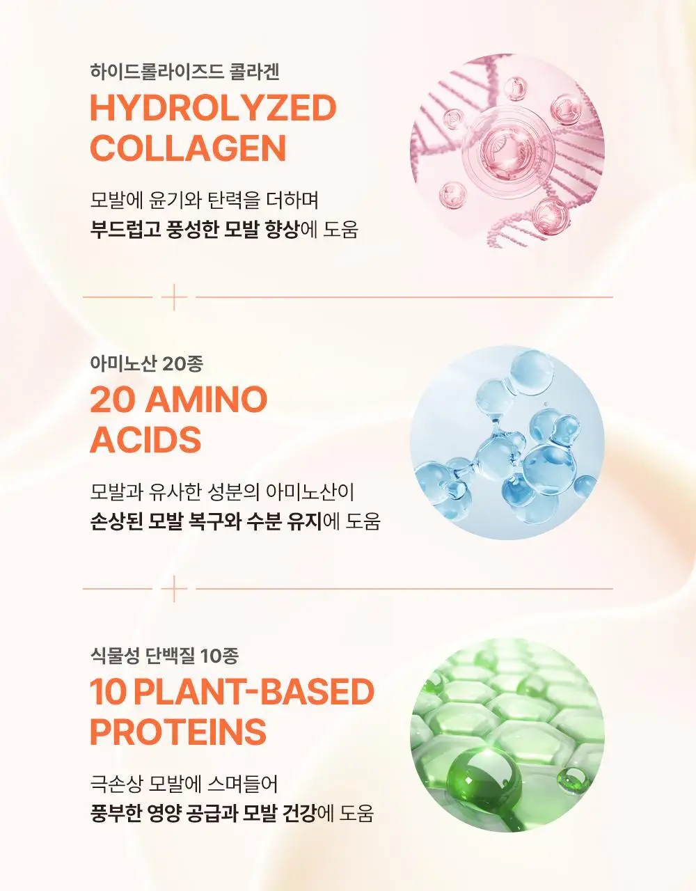 박준뷰티랩 LPP 트리트먼트 플러스 1000ml+ 리브인 노워시 트리트먼트 200ml 상세페이지 13