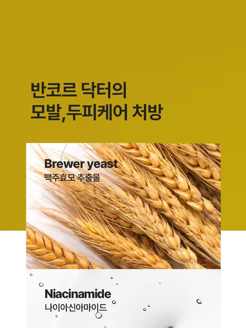 반코르 맥주효모 헤어에센스 50ml 상세페이지 2