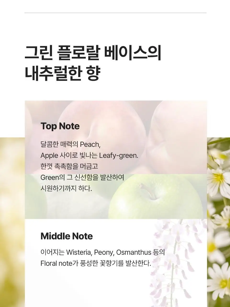 반코르 맥주효모 헤어에센스 50ml 상세페이지 6