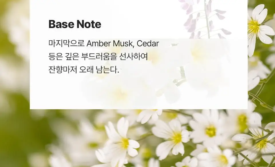 반코르 맥주효모 헤어에센스 50ml 상세페이지 7