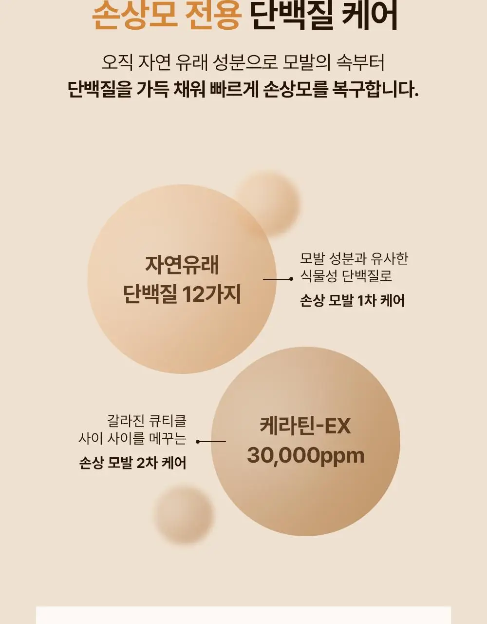 셀러버 아르간 오일 노워시 앰플 트리트먼트 200ml 상세페이지 9