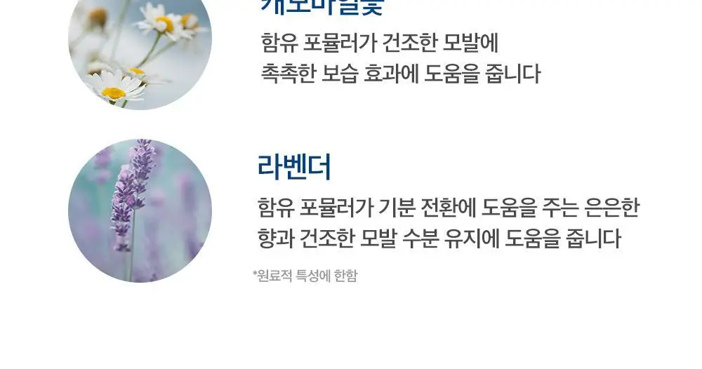 실크테라피 실크노워시 트리트먼트 200ml (뿌리는 미스트) 상세페이지 6