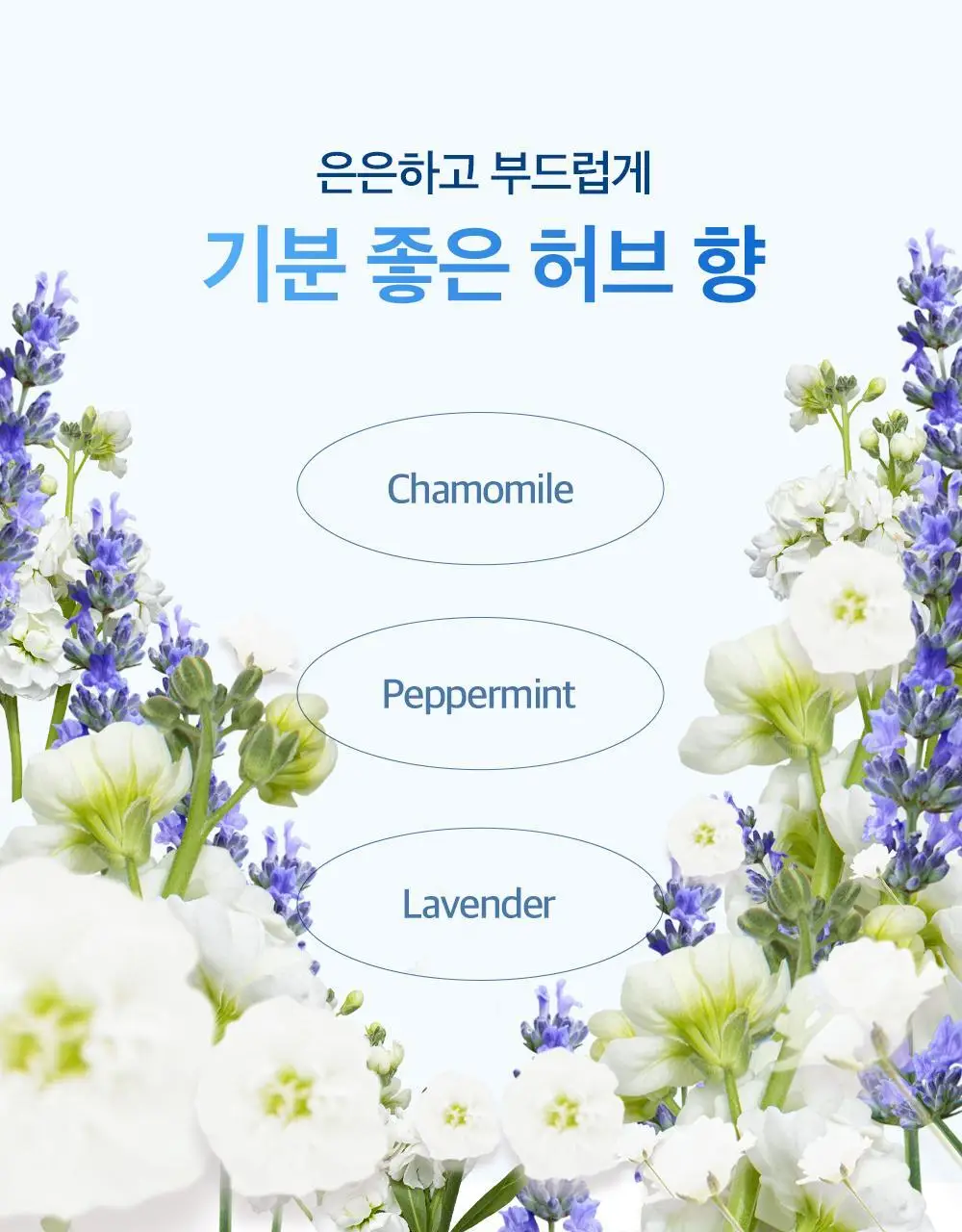 실크테라피 실크노워시 트리트먼트 200ml (뿌리는 미스트) 상세페이지 7