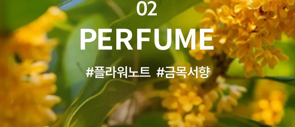 아도르 케라틴 광채 퍼퓸 헤어 미스트 130ml 기획 2종 상세페이지 30