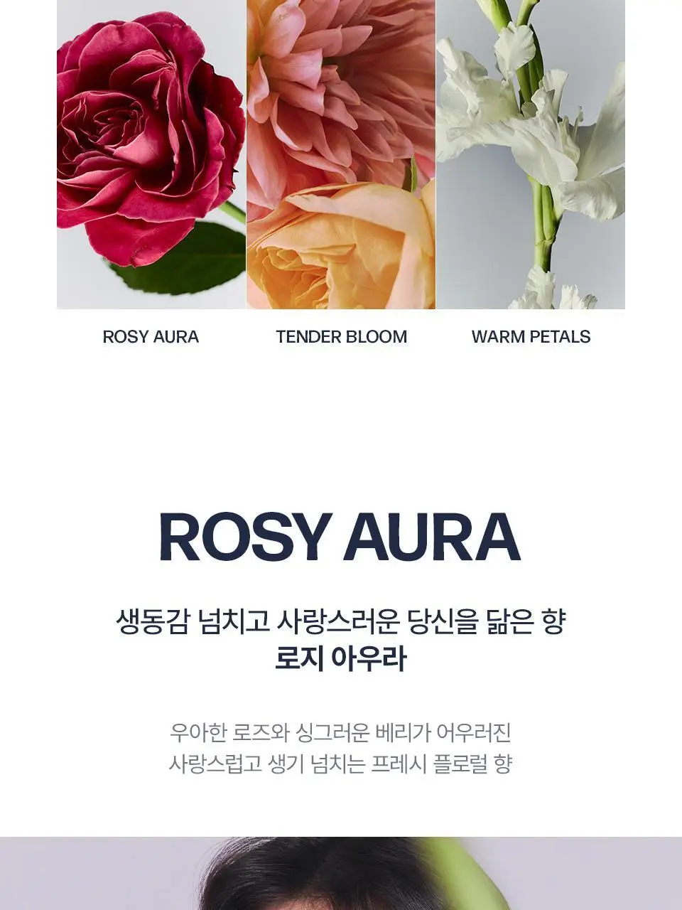 어노브 헤어 퍼퓸 미스트 20ml 3종 택 1 (로지 아우라, 텐더블룸, 웜페탈) 상세페이지 11