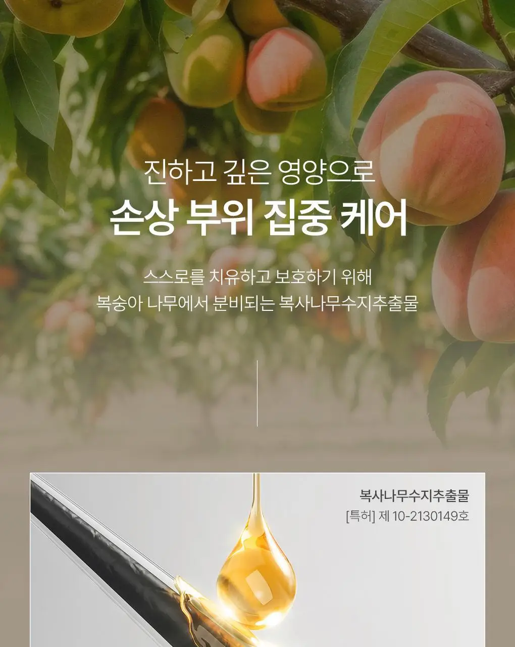 제이숲 실크 케라틴 노워시 앰플 트리트먼트 2X 200ml 단독 기획(+워터팩 50g) 상세페이지 16