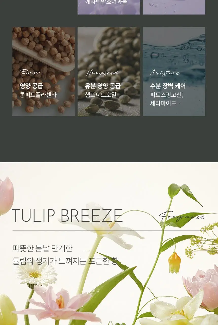 제이숲 실크 케라틴 노워시 앰플 트리트먼트 2X 200ml 상세페이지 17